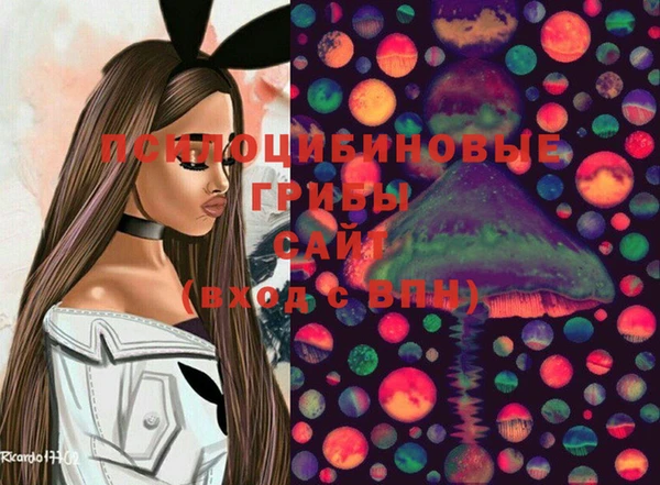 спайс Арсеньев