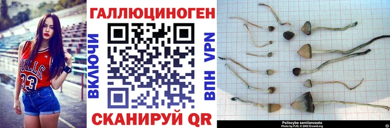 Галлюциногенные грибы MAGIC MUSHROOMS  Советск 