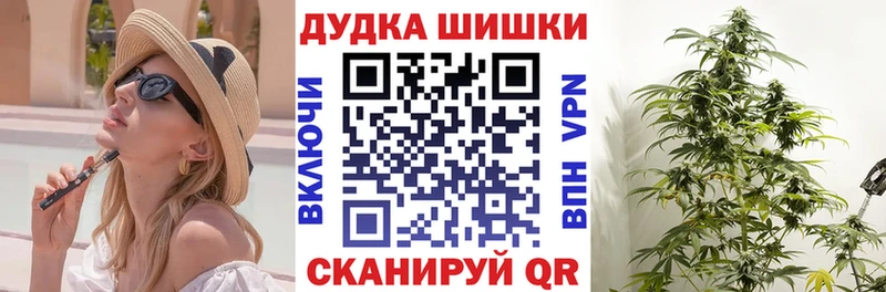 Канабис планчик  Советск 